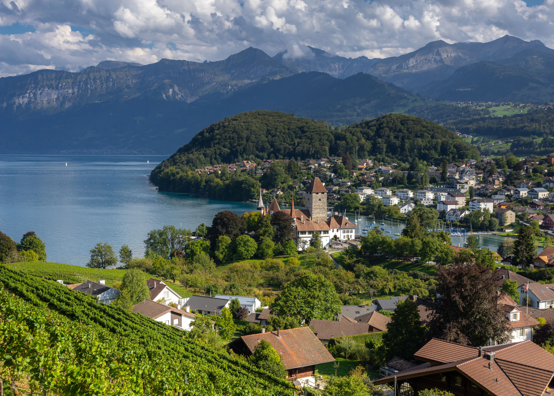 Luftaufnahme von Schloss Spiez mit Rebbergen am Thunersee
