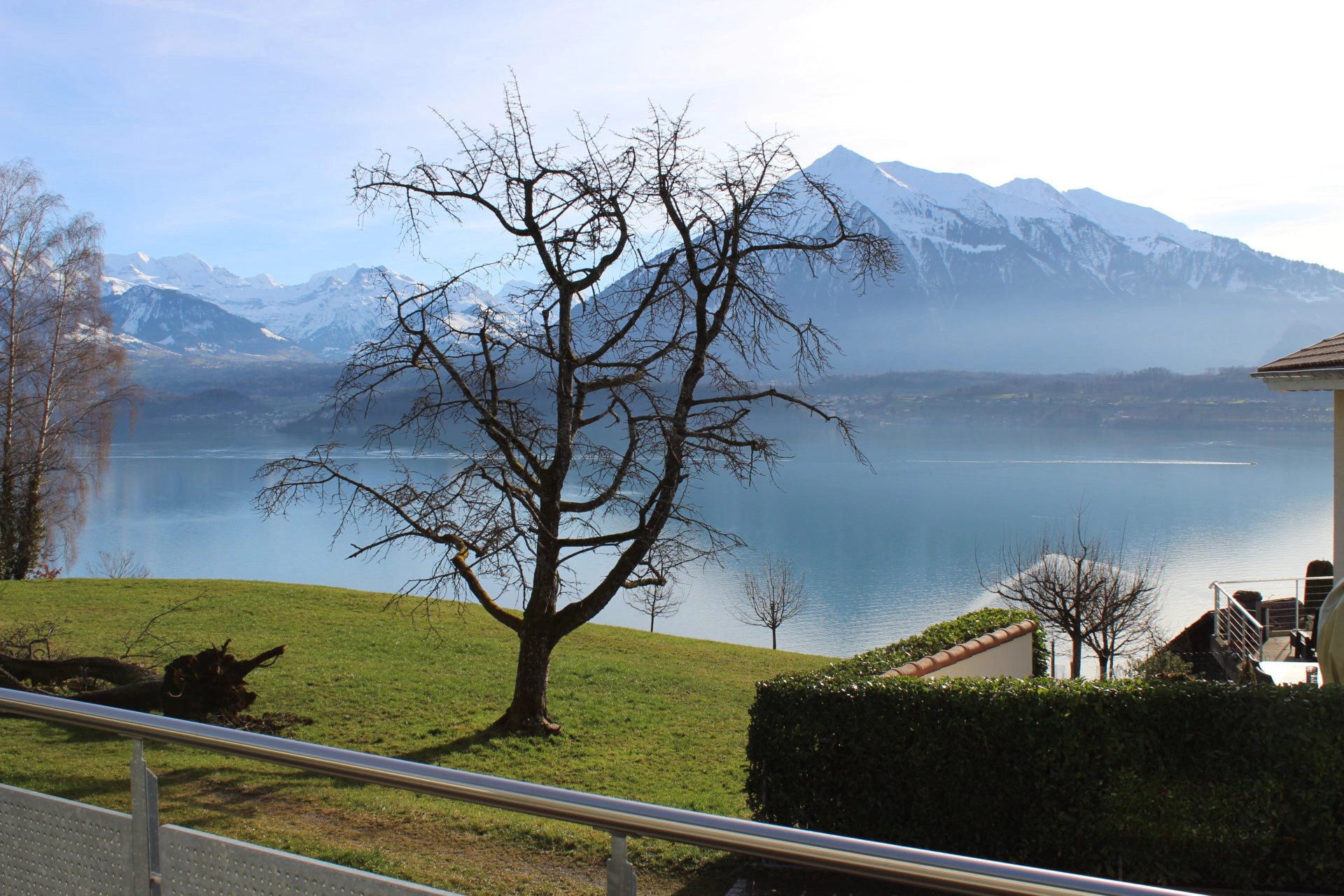Seesicht über den Thunersee auf den Niesen im Winter