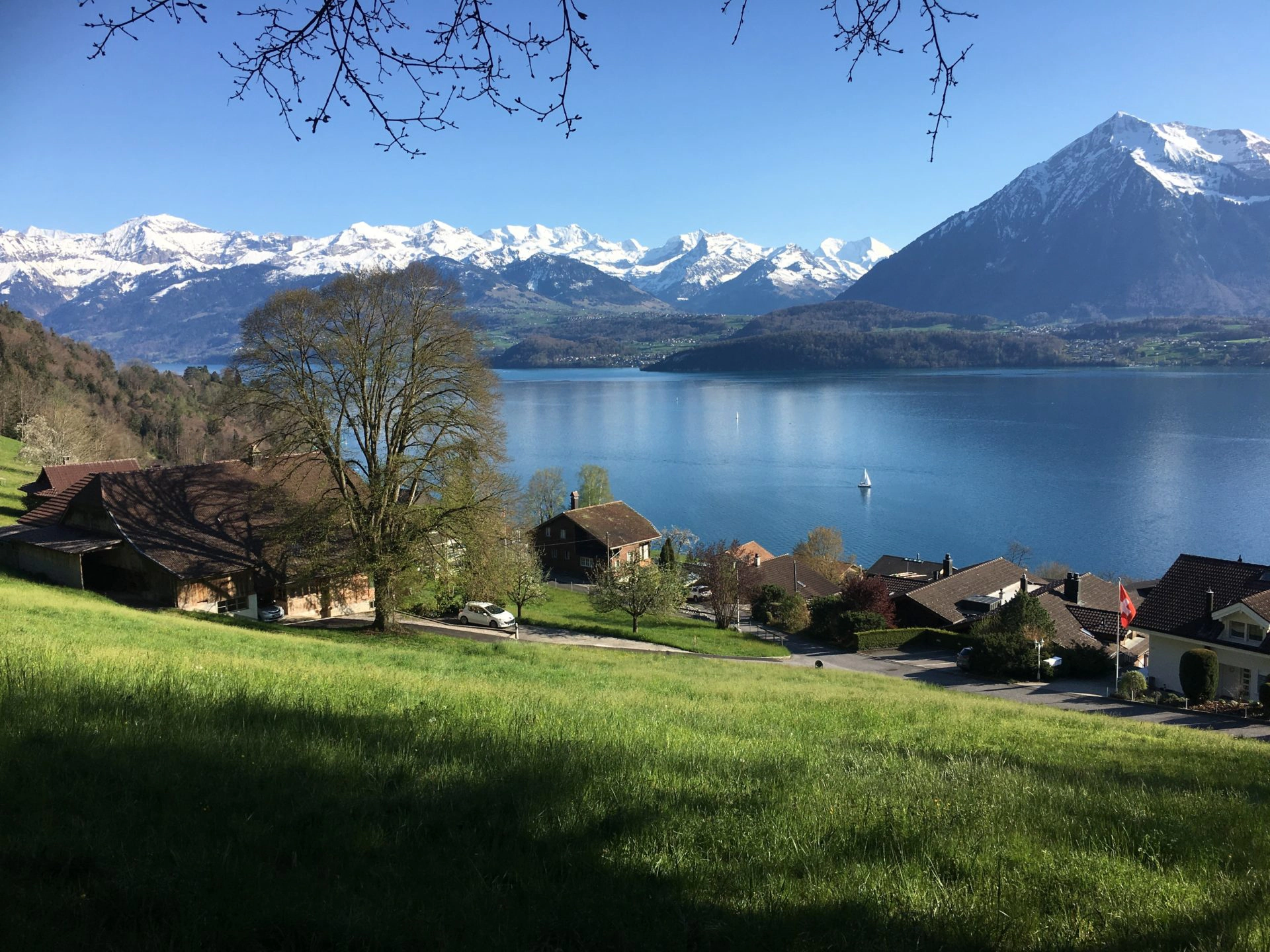 Blick vom rechten Thunersee-Ufer auf Niesen und Berner Alpen